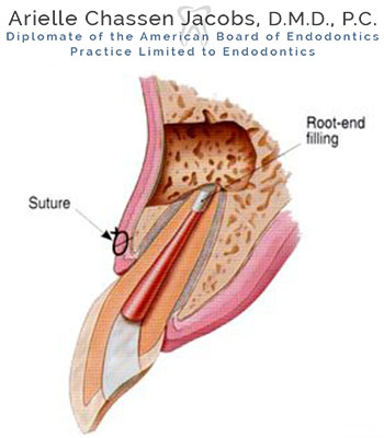Scarsdale Endo Arielle Chassen Jacobs, D.M.D, P.C. - Thumbnail