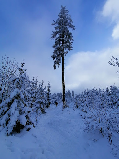 Wanderportal Kühhude - Thumbnail