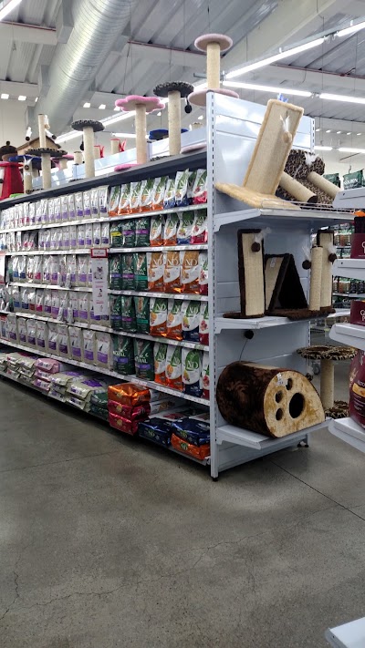 Photos of Poli Pet - Animal Shopping