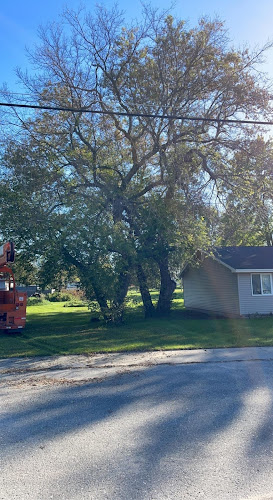 Prime Tree and Lawn Services LLC