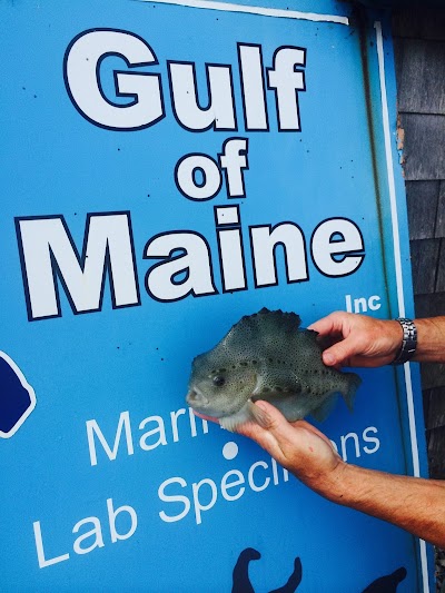 Gulf of Maine, Inc.