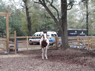 Shady Key Farm And Recording Studil