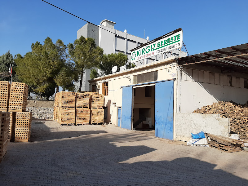 Kırgız Kereste Orman Ürünleri
