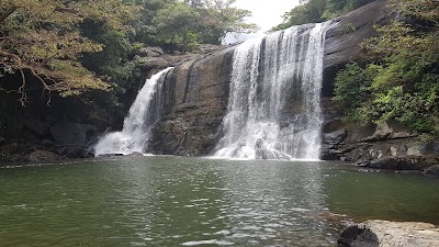 Photos of Wedda peni ella