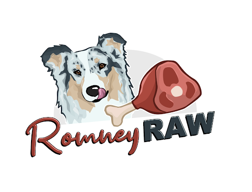 Romney Raw - Visual