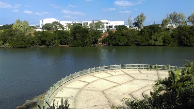 Photos of Pointe des Lascars Hindu Spiritual Park