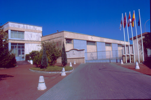 Bodegas Vinos de León, VILE S.A.
