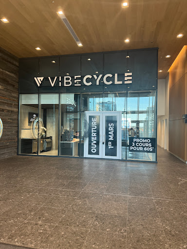 VibeCycle - Visual
