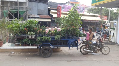 Photos of Balcony Guest House and Restaurant