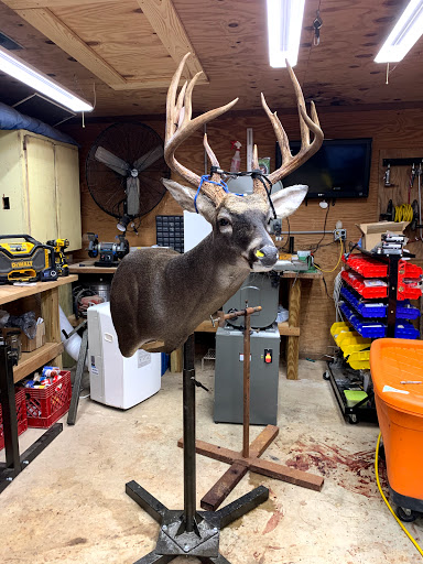 Bayou Belle Taxidermy - Thumbnail