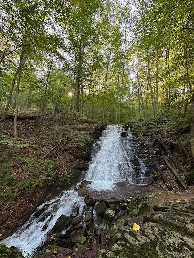 Douglas Trail - Thumbnail