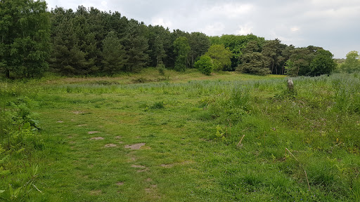 Butley Corner Car Park