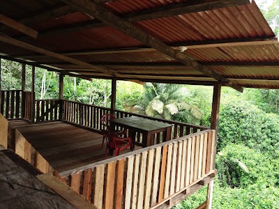 Photos of Caba&ntilde;a Pusara limoncocha