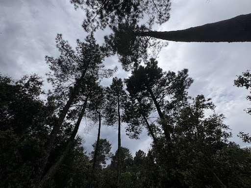 Jardins du Coquillon - Thumbnail