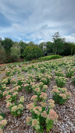 Camping "Le Bois du Bouquet" - Thumbnail