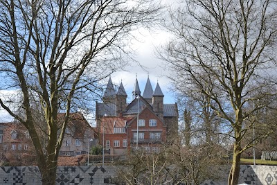 Photos of Viborg Cathedral