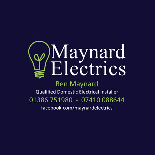 Maynard Electrics - Visual