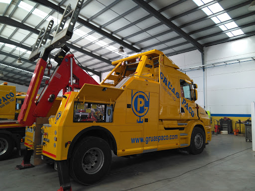 Workshops and Cranes Paco