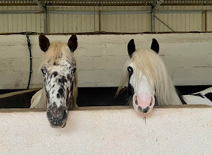 Photo n°3 de Ecurie du Champ de Gouro à Helléan (Écurie)