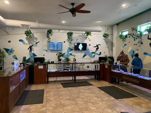 High Grade Specialists Dispensary - Thumbnail