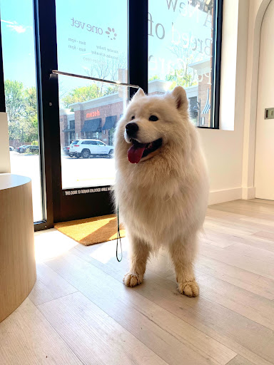 Petfolk Veterinary & Urgent Care - North Miami - Thumbnail