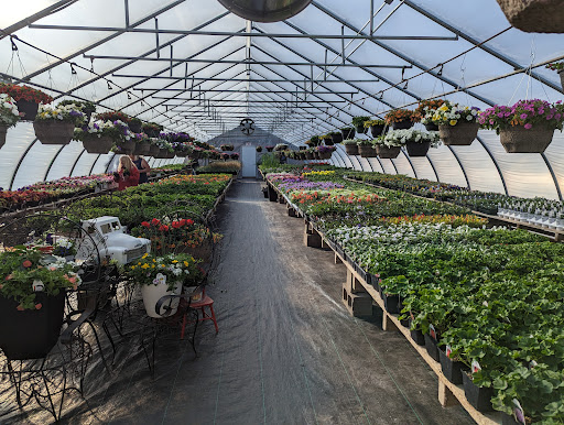 Annies Greenhouse - Thumbnail
