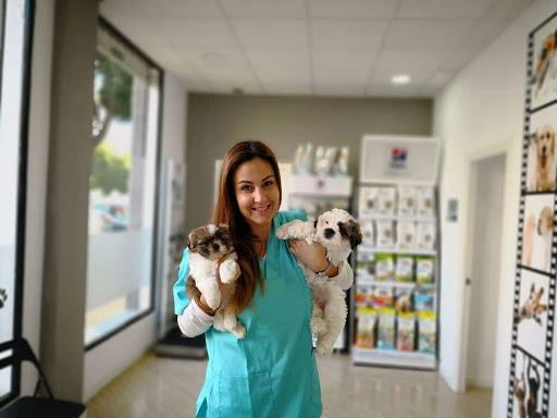 Clínica Veterinaria PinoVet El Pinillo Torremolinos