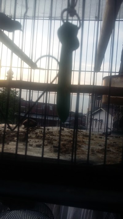 Photos of Satria