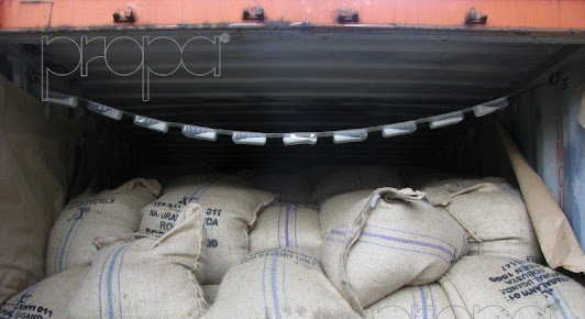 Af1qipov4jdgmlskkeuz9zxbynpiaqgvywvqzwm5m3gp=s532 K No