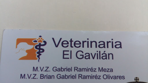 Vet El Gavilan - Thumbnail