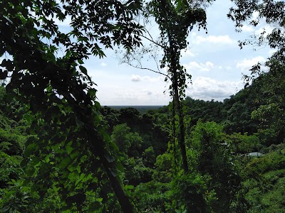 Photos of বান্দরকুম