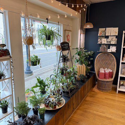 Creative Lane by null