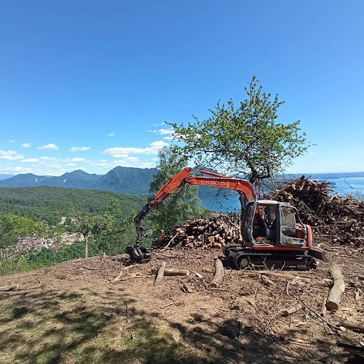 LAGO MAGGIORE LEGNAMI - Vendita Legname e Servizi Forestali - Thumbnail
