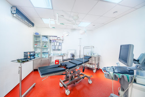 Center of Phlebology: varicose veins, spider veins, edema (Centrum Flebologii)