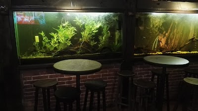 Photos of Hecho en Casa Caf&eacute;