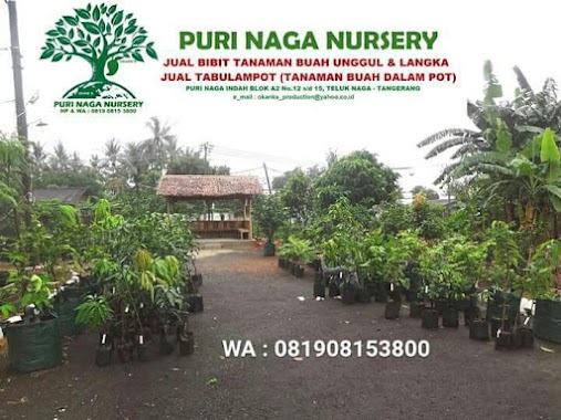 PURI NAGA Nursery, Author: Okank Production