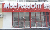 Фотография МосРозаОПТ, дом 7/1, Молодёжный бульвар, Уфа, Россия