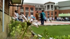 Superior University lahore