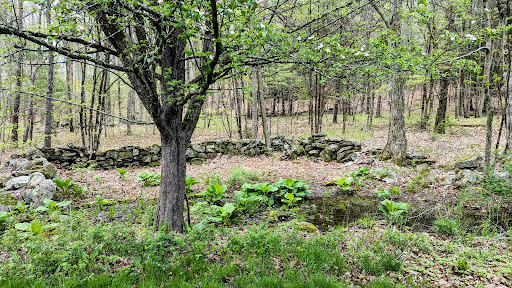 Fenton-Ruby Park - Visual