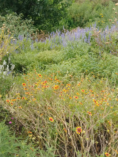 Native Texas Park - Visual