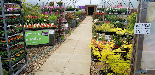 Richard's Plants - Visual