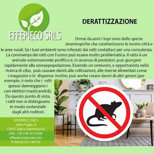 EFFEPIECO - Thumbnail