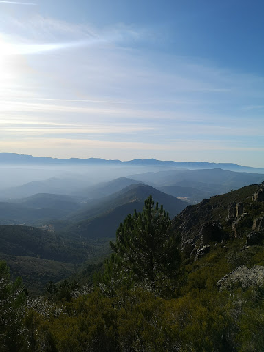 Portilla Bejarana