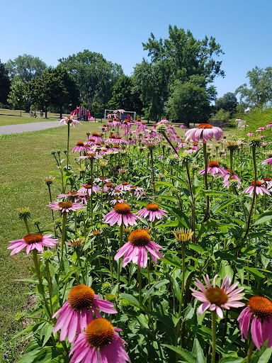John Page Park - Thumbnail