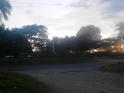 Photos of Farm Village Cafe