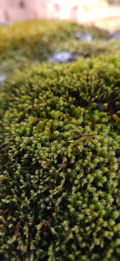 River Bend Property Owners Association Inc - Thumbnail