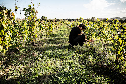 Celler Viníric - Rutes Enoturisme