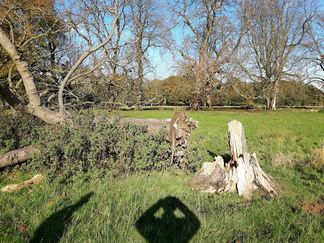 Belton Park