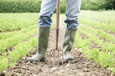 Carter Country Farm and Feed