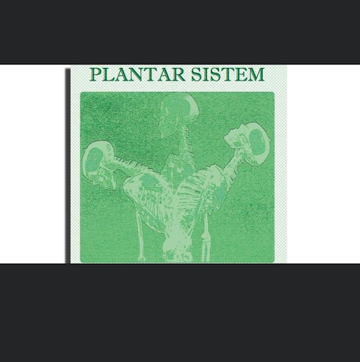 Plantar Sistem di Mornati Patrizia - Thumbnail